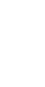 AVNEESH